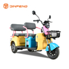 Stylish Design Electric Leisure Tricycle-N10