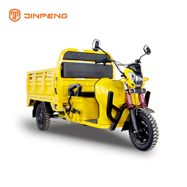 Cargo Use Electric Cargo Trike-DLS150A 