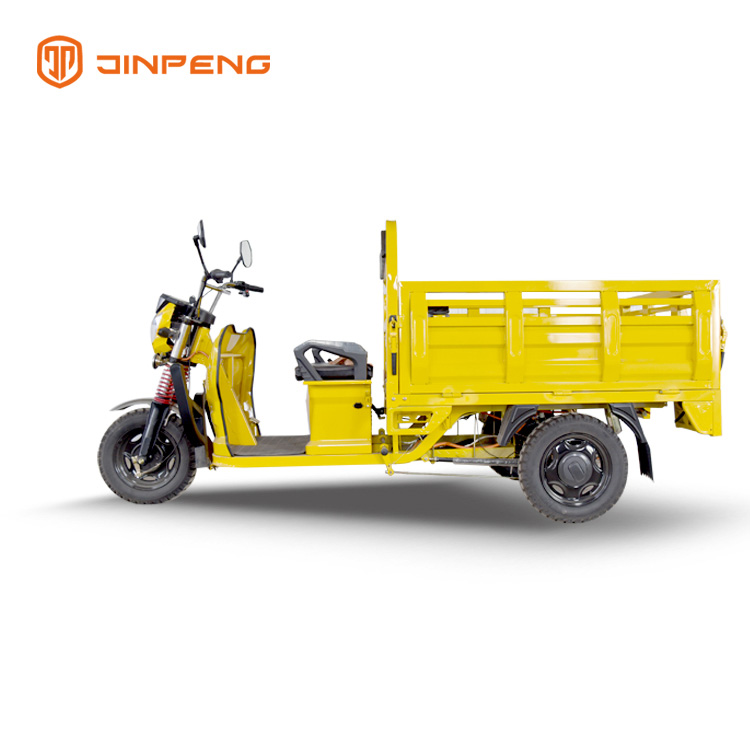 Cargo Use Electric Cargo Trike-DLS150A 
