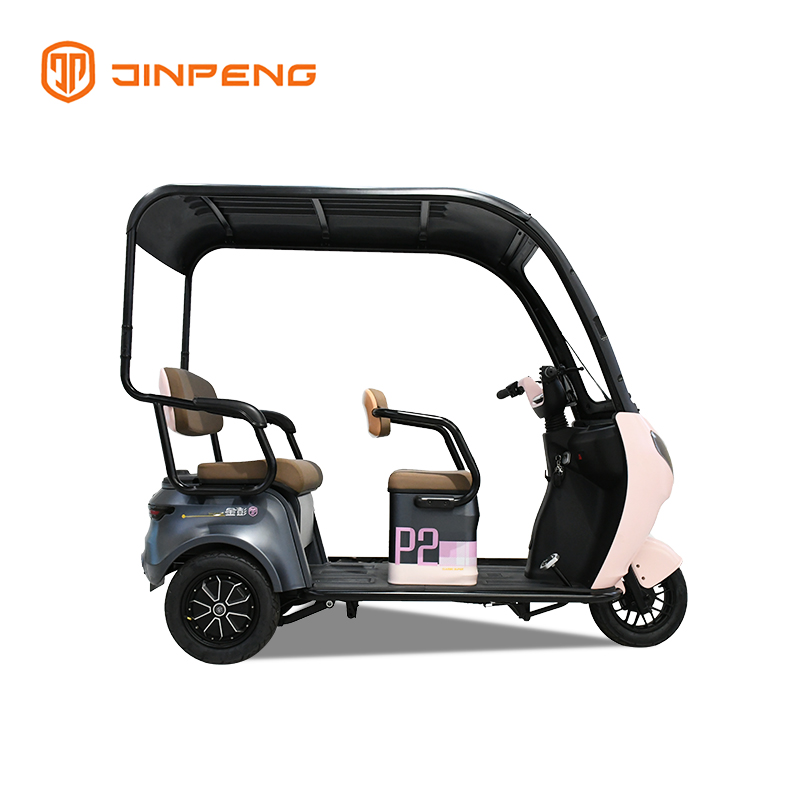Electric Passenger Tricycle with Roof-P2