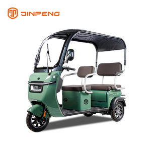 Electric Leisure Tricycle with Roof-ZHG