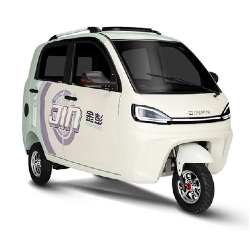 From Daily Commutes To Last-Mile Deliveries: The Versatility of Mini Tricycle Cars