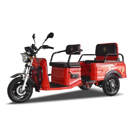 Efficiency Meets Sustainability: Benefits of Electric Tricycles for Cargo And Passenger Transport
