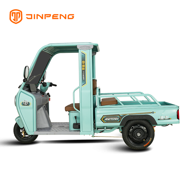Electric Tricycle for Passengers and Cargo P9