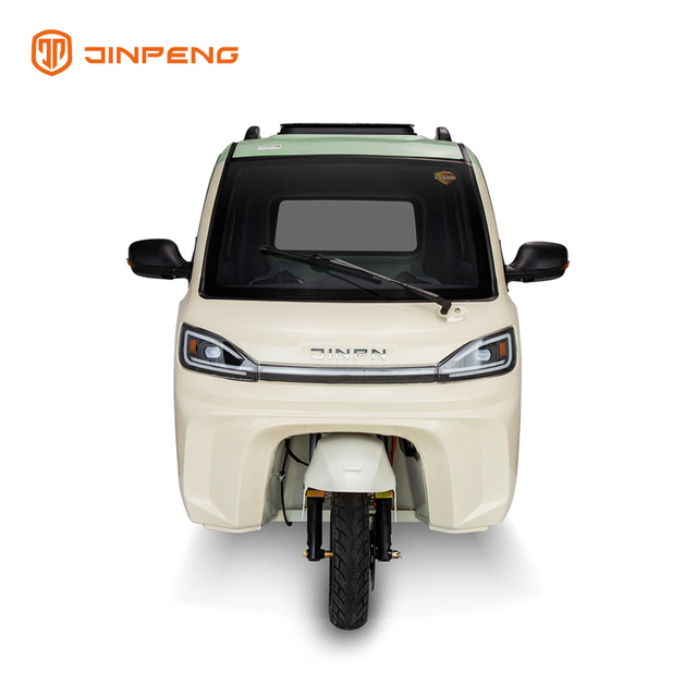 Mini Car Electric Passenger Tricycle-ZC