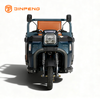 Heavy Load Electric Cargo Trike JW180