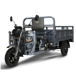 Maintenance And Longevity: Keeping Electric Tricycles for Cargo And Passenger in Top Condition
