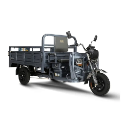 electric-tricycle