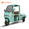 Electric Tricycle for Passengers and Cargo